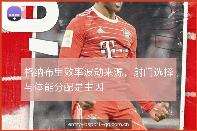 格纳布里效率波动来源，射门选择与体能分配是主因